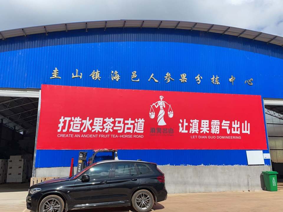 圭山镇海邑人参果分拣中心