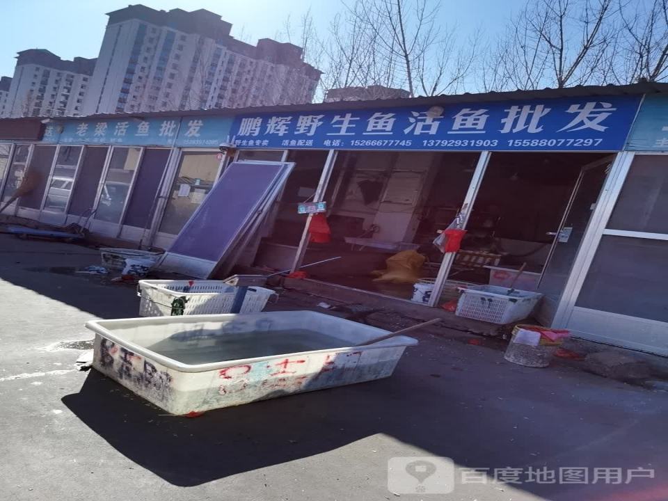 鱼行活鱼配送