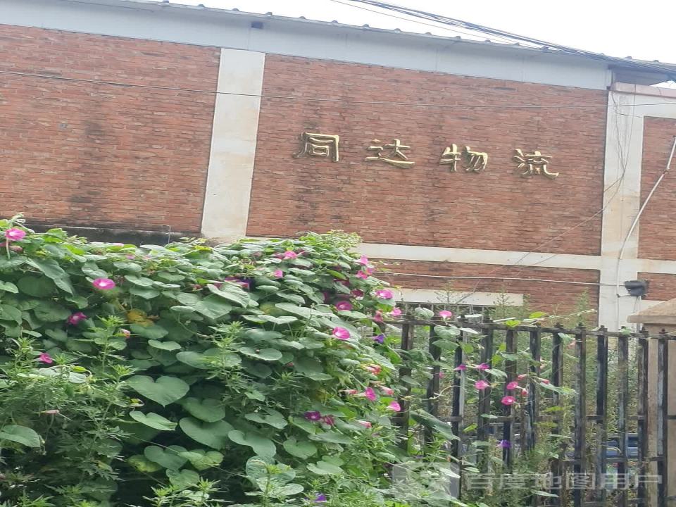 同达物流