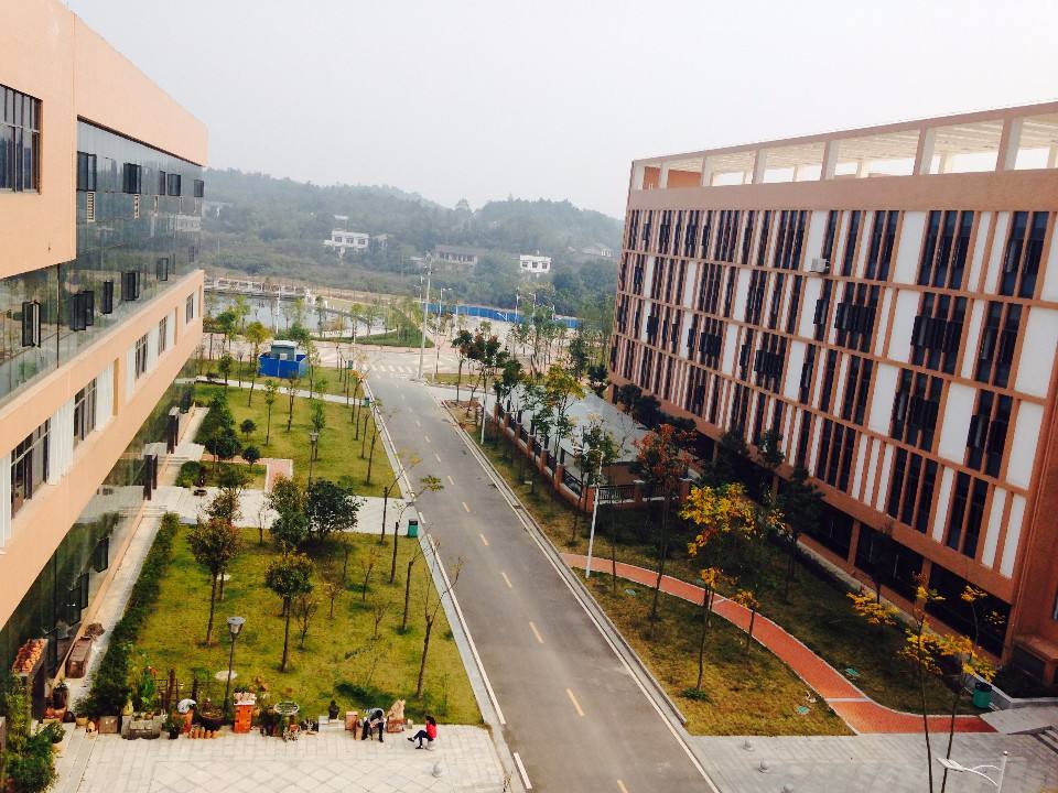 顺丰速运(长沙师范学院北校区)