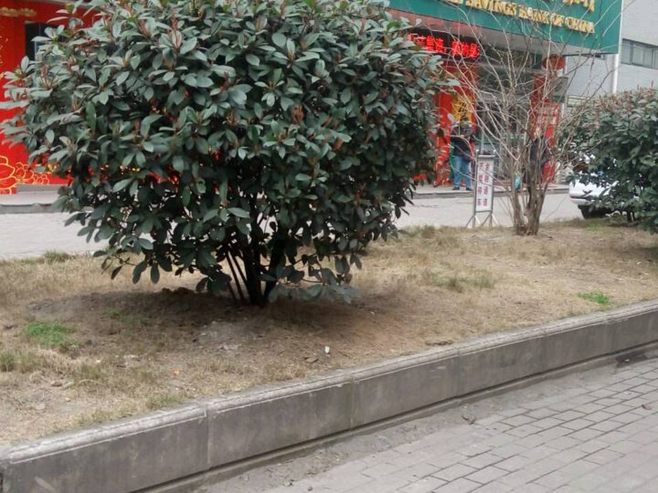 中国邮政(新建路邮政所)