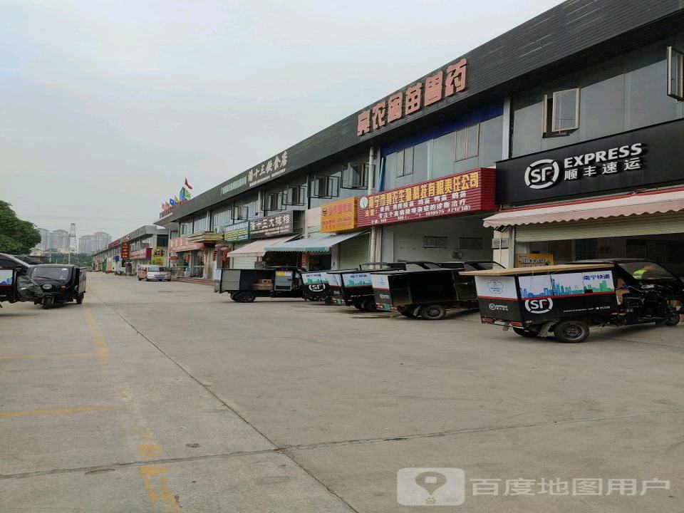 南宁市兴宁区四塘镇兴东禽苗市场顺丰速运(四塘街店)