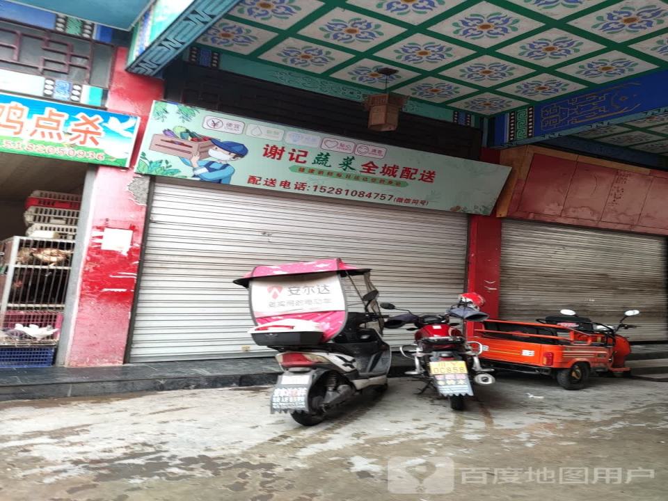 谢记蔬菜全城配送
