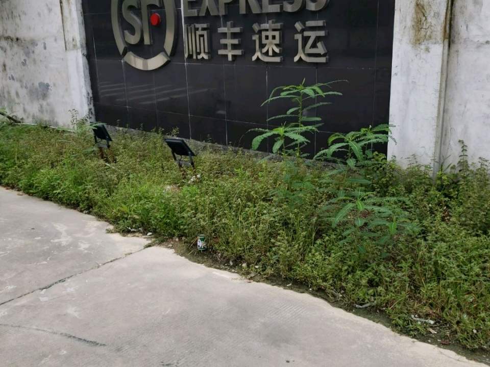 顺丰速运(杜阮集散中心店)