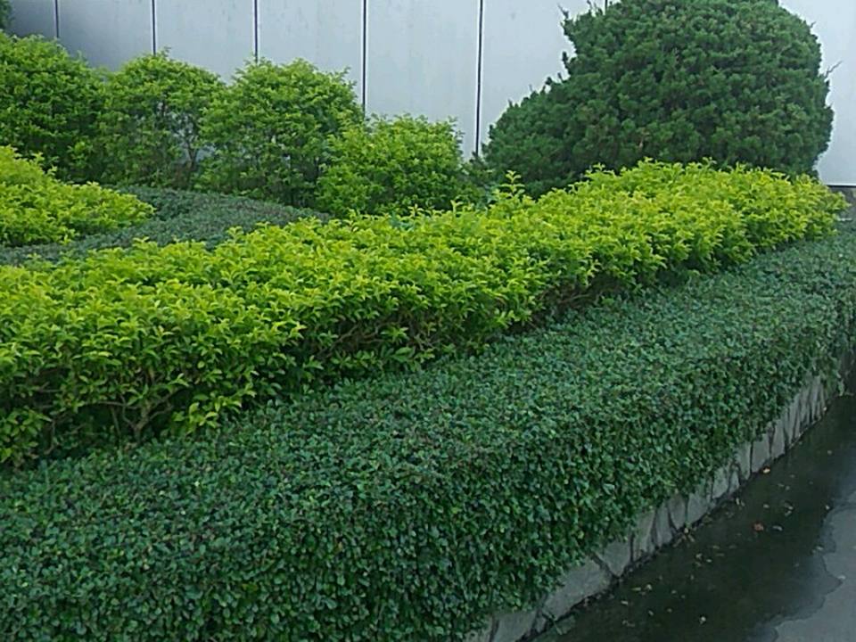 华福骏达物流园