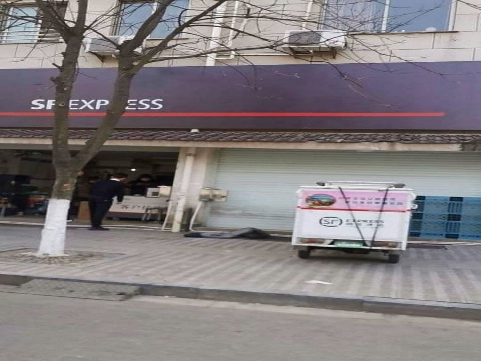 顺丰速运绍兴市新昌县磕下村81号市区点(孝行路店)