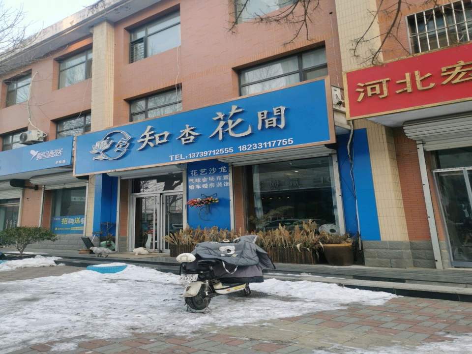 饿了么蜂鸟配送辛集站