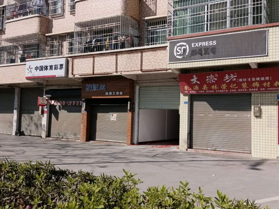 顺丰速运(南环东路店)