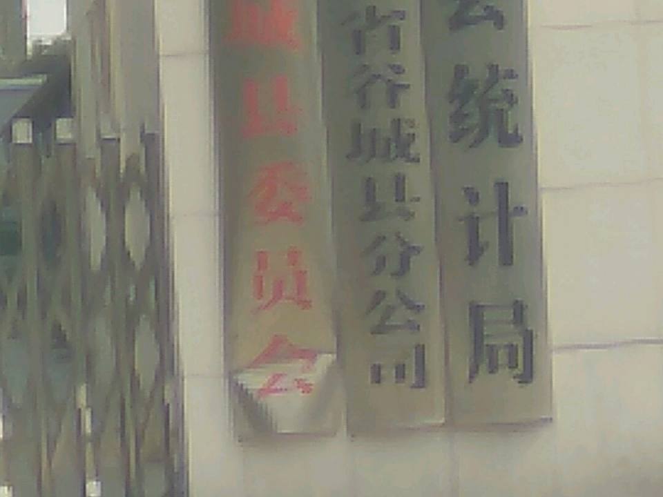 中国邮政集团公司(湖北省谷城县分公司)