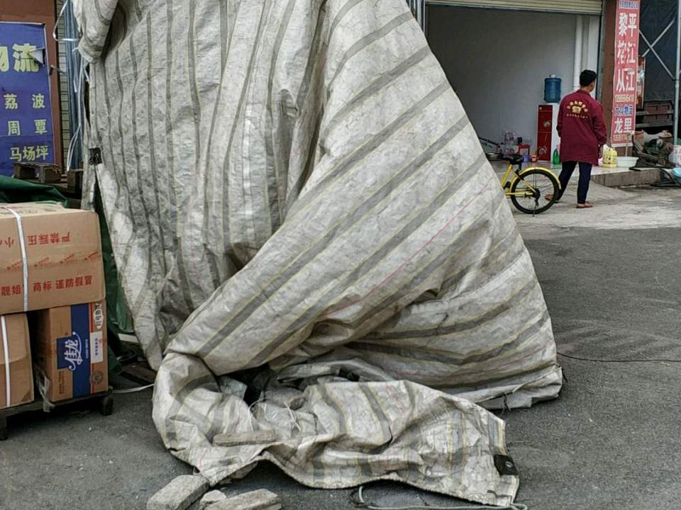 金秋物流