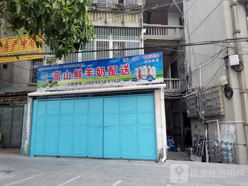 高山鲜羊奶配送