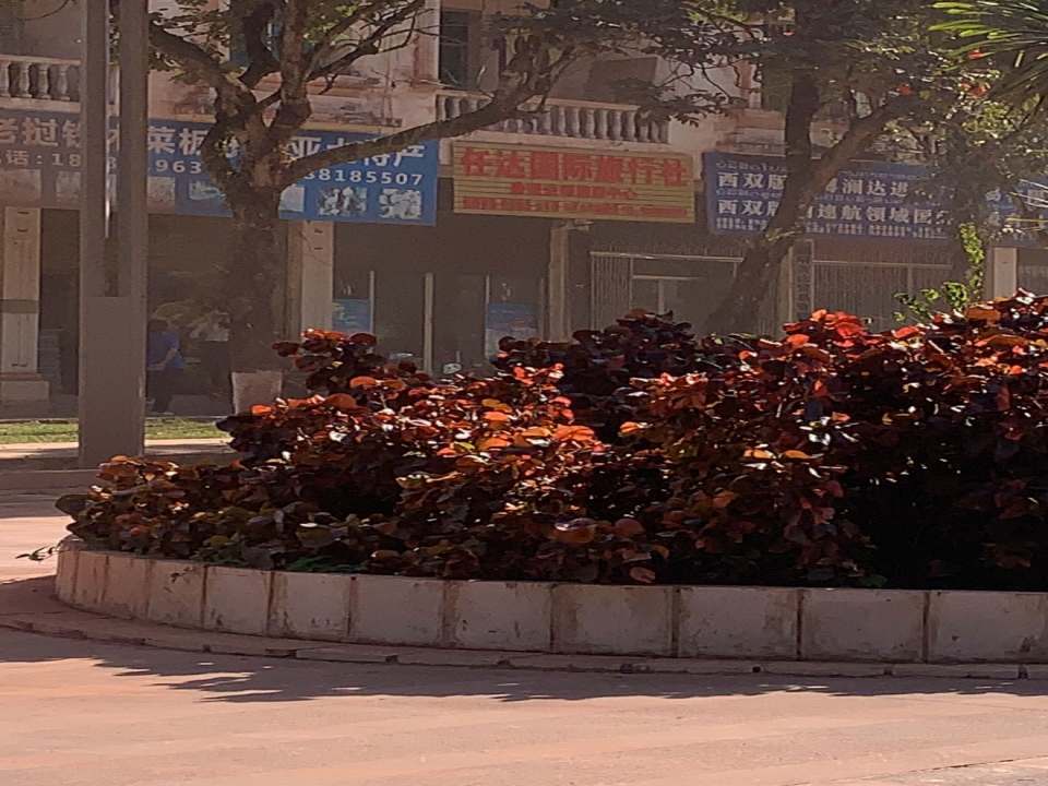 老挝LO进出口国际物流有限公司