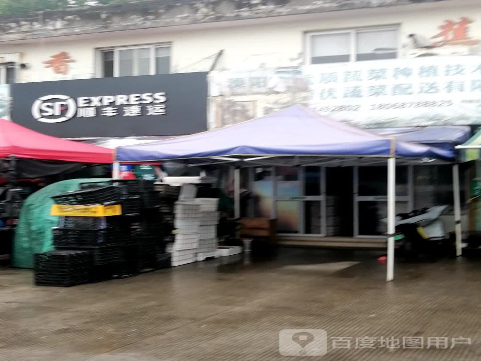 顺丰速运(清溪南路店)